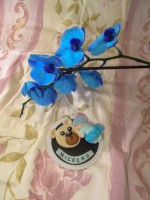 /album/galerie-de-photos-galerie-photos/porte-nicolas-jpg1/